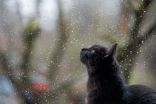 Україну накриє хмарна погода з дощами: детальний прогноз на 7 грудня - we.ua