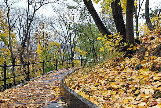 Погода пізньої осені: синоптики надали прогноз для Києва на цей тиждень - we.ua