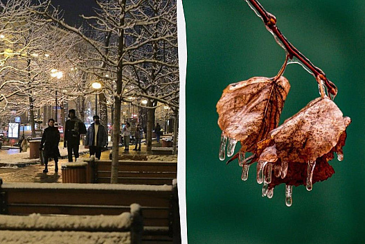 Від весняних +11° до морозів: синоптик Діденко розповіла про погодні гойдалки після 11 грудня - weua.social