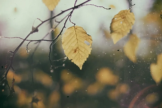 Волога погода і помірне потепління: прогноз синоптиків на 11 грудня - we.ua