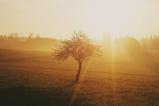 Людство увійшло в коридор найспекотніших років в історії, - вчені - weua.social