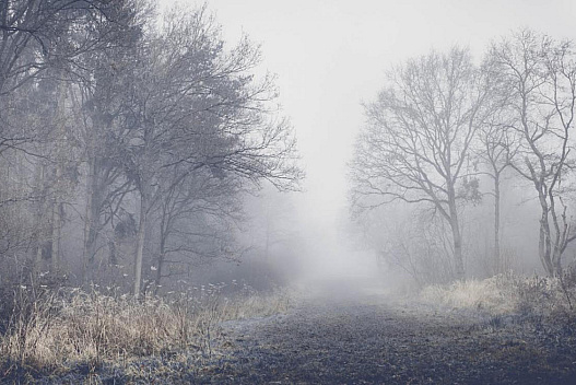 У Дніпрі оголосили І рівень небезпеки - weua.social