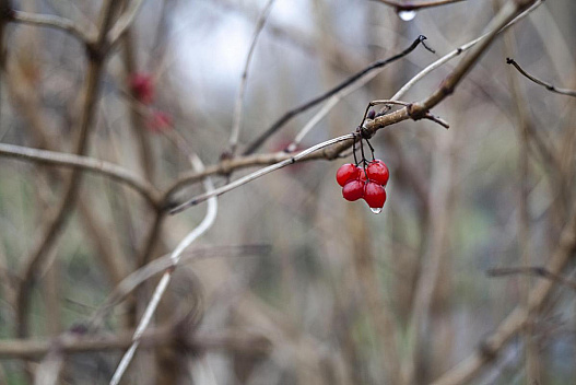 11 грудня на українців чекає нестабільна погода: до чого готуватися - we.ua