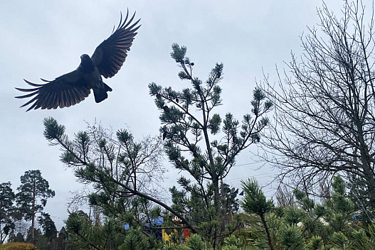 Завтра в Києві буде останній теплий день перед похолоданням - weua.dev