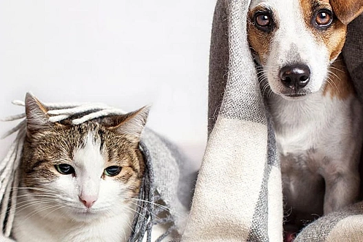 Україну накриє різке похолодання: прогноз погоди на 13 грудня - we.ua