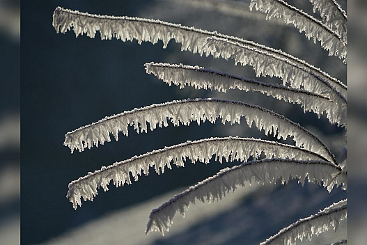 До України йде похолодання: де вдарить мороз і засипле снігом - weua.dev