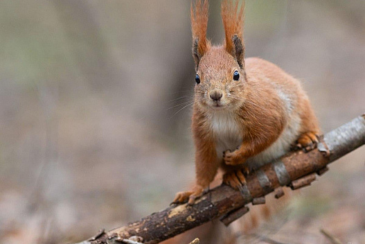В Україну знову йде потепління: синоптикиня розповіла, наскільки підвищиться температура - weua.dev