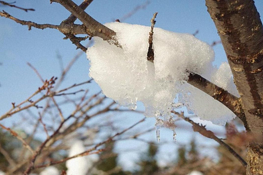 З 15 грудня погода в Україні почне поліпшуватися - weua.social