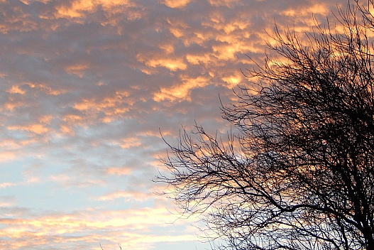 Антициклон Frieda змінить погоду в Україні, - синоптикиня Діденко - weua.dev