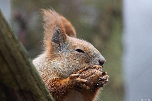 18 грудня в Україні буде тепло, в одній області - дощі - we.ua