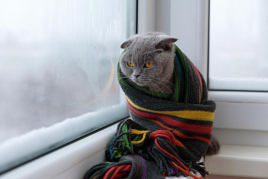 До України йде зимове похолодання: температура може впасти до -11° - weua.social