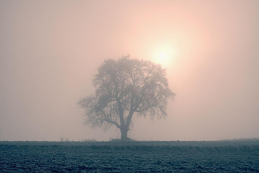 Синоптики оголосили у Дніпрі І рівень небезпеки: що буде з погодою - weua.dev