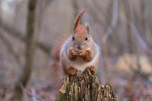 20 грудня в Україні стане свіжіше - weua.social