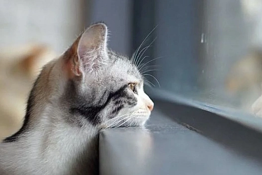 В Україні хмарно: погода на 20 грудня - we.ua