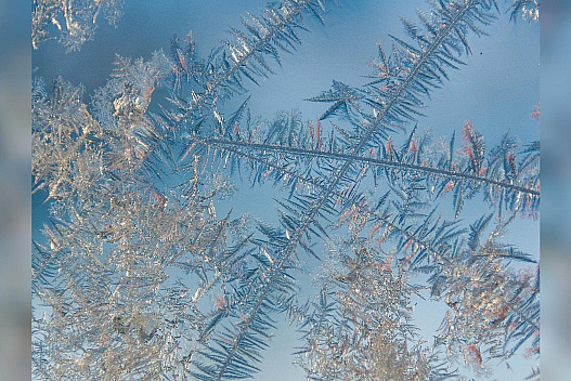 До України йде арктичний холод: коли чекати різкого похолодання - we.ua