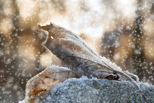 На заході та півночі країни невеликий сніг, на решті території без опадів: прогноз погоди на 23 грудня - we.ua