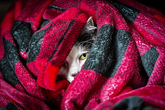 Тиждень в Україні почнеться з похолодання - we.ua