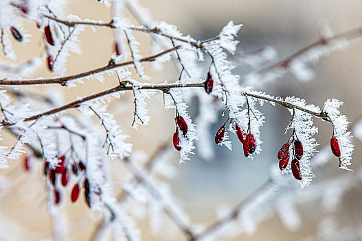 Укргідрометцентр розповів про похолодання та сніг напередодні Різдва - we.ua