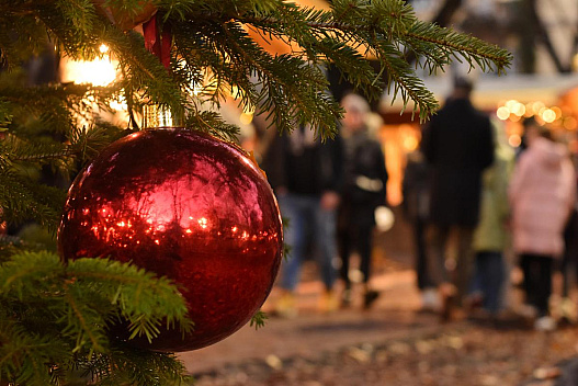 На Різдво морози в Україні посиляться - we.ua