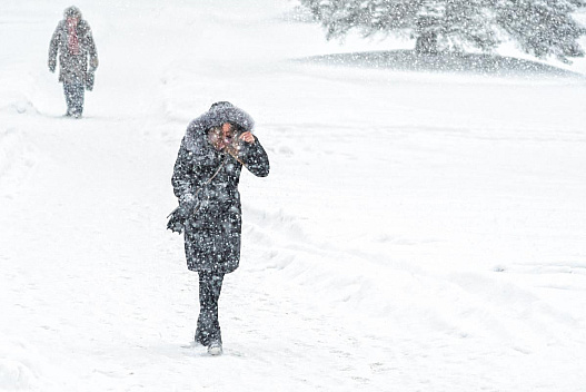 Сніг та вітер йдуть до України: синоптикиня розказала, коли погода зіпсується - we.ua