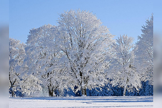 Різдво з морозом та Новий рік зі снігом: коли в Україну прийде «справжня» зима - we.ua