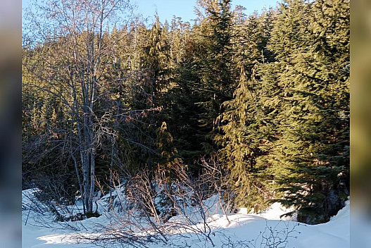 Мороз, снігопади та хуртовини: на вихідних зима готує українцям випробування - we.ua