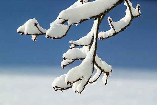В Україну йдуть мокрий сніг, ожеледиця та сильний вітер: погода на 27 і 28 грудня - we.ua