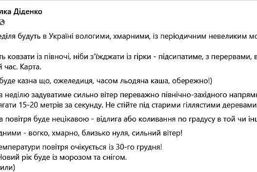 Новорічна погода — Діденко попередила українців на вихідні - we.ua