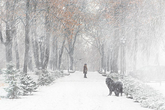 Остання неділя року буде в Україні зі снігом та штормовим вітром, - синоптикиня Діденко - we.ua