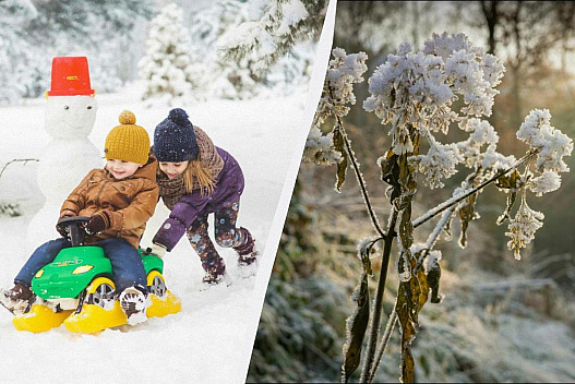 Прогноз погоди на січень 2026: скільки випаде снігу та коли очікувати морозів - we.ua