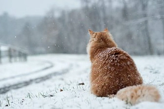 Сильний вітер та ожеледиця: погода на неділю, 28 грудня - we.ua