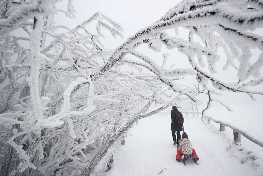 В Україну йде нова хвиля арктичного холоду, - синоптикиня Діденко - we.ua