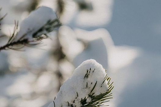 30 грудня сильних морозів в Україні не буде, але є неприємний нюанс - we.ua