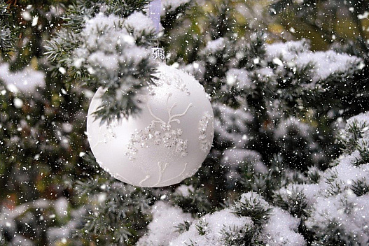 2025 рік завершиться в Україні красивою зимовою погодою, - синоптикиня Діденко - we.ua