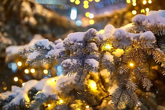 В Україні на Новий рік очікується до 14 градусів морозу і сніг - Діденко - we.ua