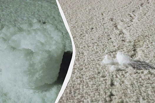 На Вінничині побачили рідкісне зимове явище - we.ua