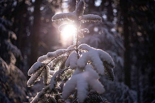Відома синоптикиня розказала, як зміниться погода в Україні на початку 2026 року - we.ua