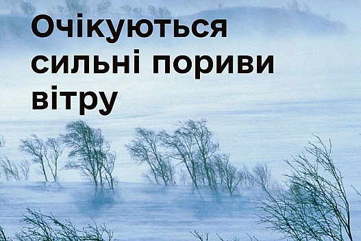Шквальний вітер накриє Захід України: оголошено І рівень небезпеки - we.ua