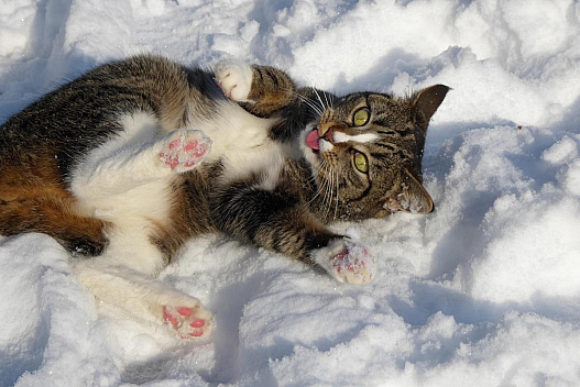 У суботу в Україні буде тепло: синоптикиня потішила українців прогнозом на 3 січня - we.ua