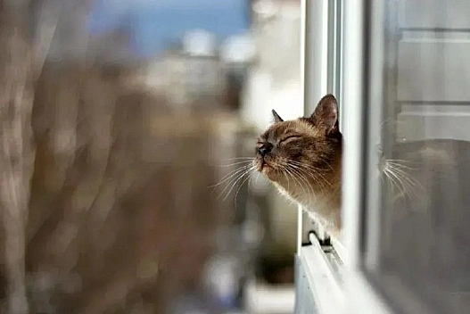 Україну накриє хмарна погода: прогноз на 3 січня - we.ua