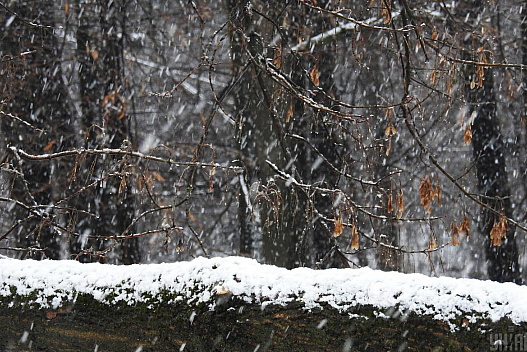 3 січня частину України накриють дощі та мокрий сніг - we.ua