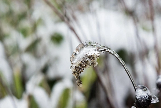 В Україну йде циклон: синоптик розповіла, де очікувати сніг та дощ 5 січня - we.ua