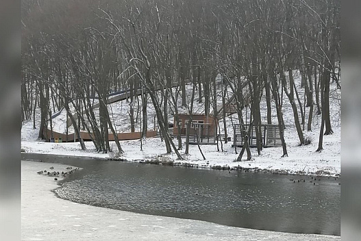 Похолодання буде недовгим: коли та де на тижні температура в Україні знизиться до -19 - we.ua