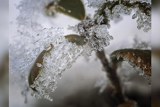 «Нестійкий» січень: у вихідні синоптики обіцяють температурні гойдалки — від 0 на південному сході до -20 на заході України - we.ua