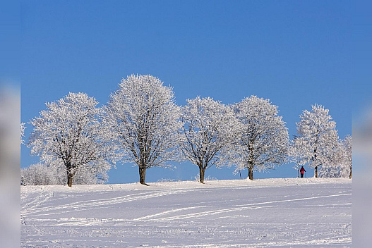 Сильні морози накриють Україну: синоптики попередили про різке похолодання до -18°С - we.ua