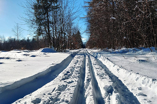 Де в Україні у понеділок будуть найбільші морози: Діденко дала прогноз на 12 січня - we.ua