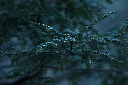 В Україні утримаються морози, місцями до -24 - синоптик - we.ua