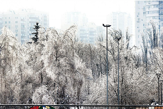 Сьогодні Київ скують 15-градусні морози - we.ua