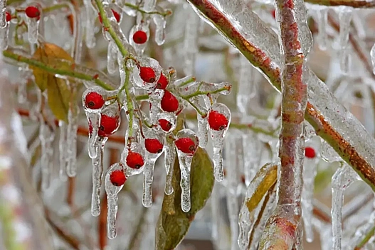 Морози не вщухають: якою буде погода в Україні 13 січня - we.ua