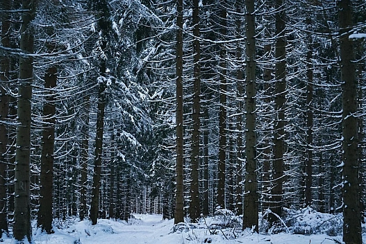 Морозна погода переважатиме: синоптик дала прогноз на найближчий час - we.ua